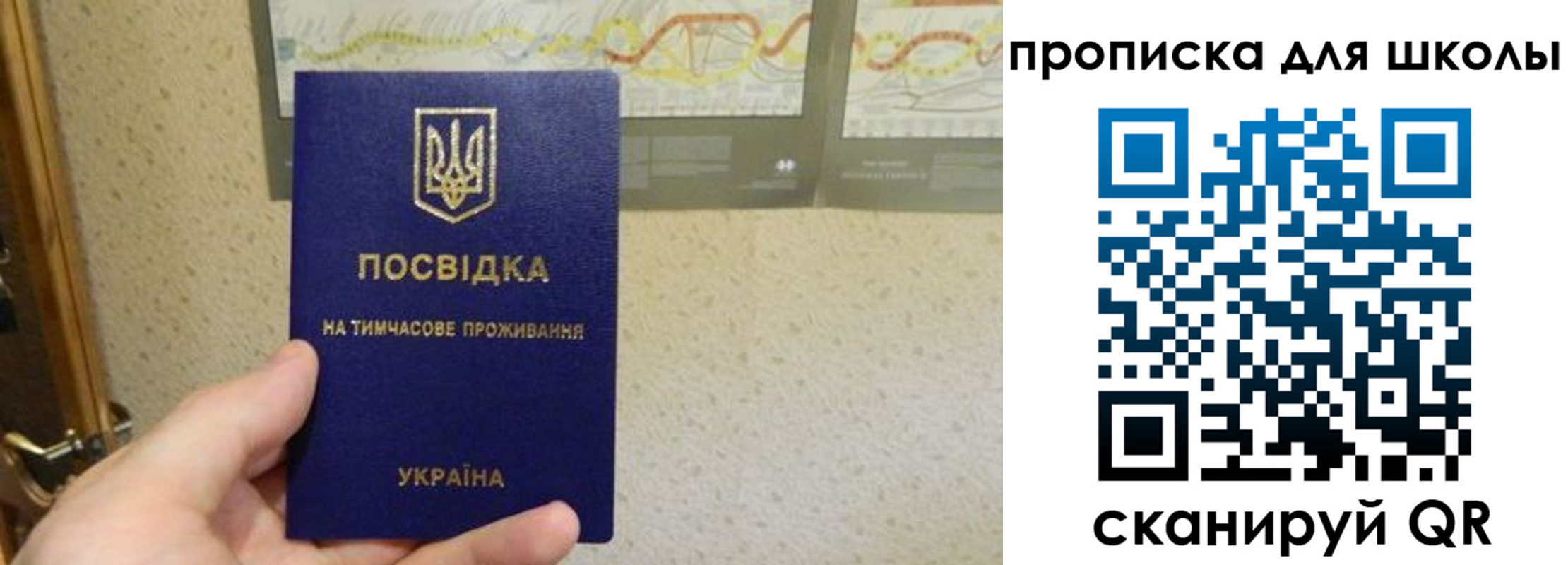 найти адрес прописки в Электроуглях